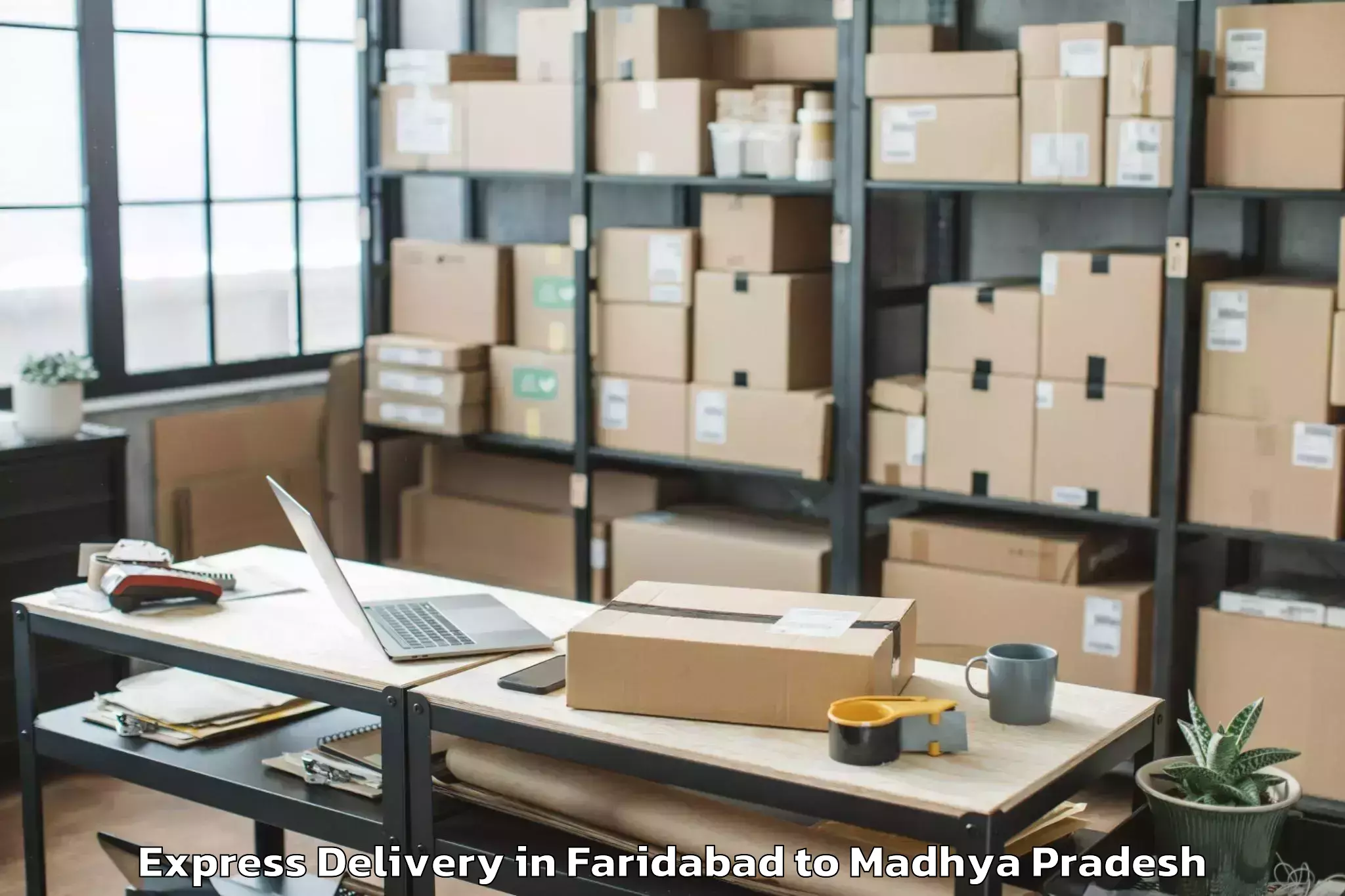 Professional Faridabad to Damoh Express Delivery